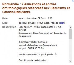 animations_Caen_Normandie.JPG