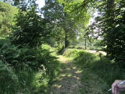 Les_Ponceaux_Barenton_MA_Pottier.jpg
