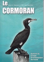 GrandCormoran.jpg