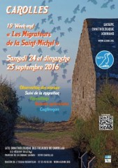 affiches-CAROLLES-2016_m.jpg