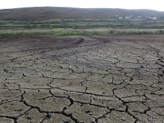 La mare à sec (ML Travert).JPG